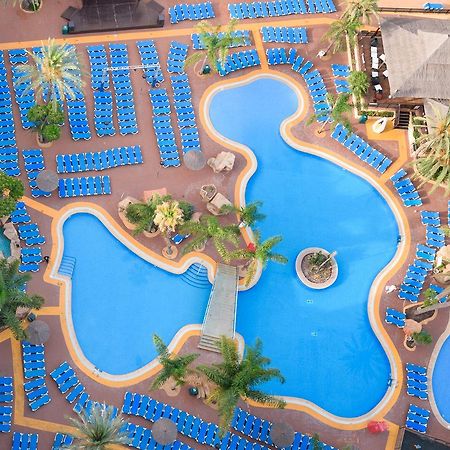 Medplaya Hotel Flamingo Oasis Μπένιντορμ Εξωτερικό φωτογραφία